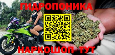 jwh Владивосток