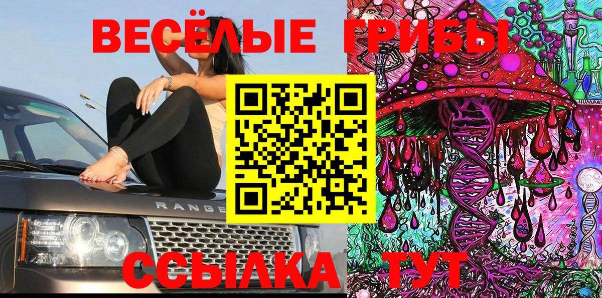 Псилоцибиновые грибы мицелий  Вход с VPN  Губкинский 